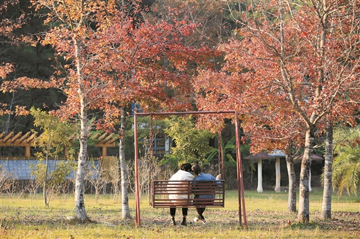 十万山里枫叶红