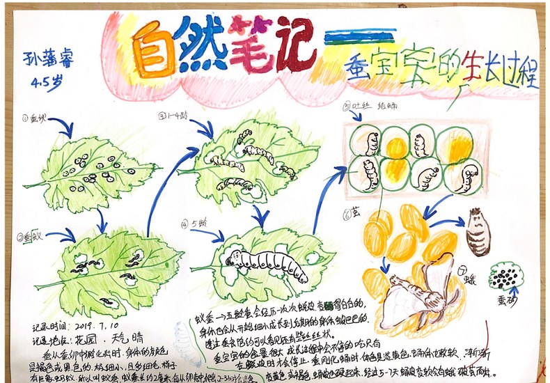 30名沈阳青少年荣获自然笔记大赛三等奖