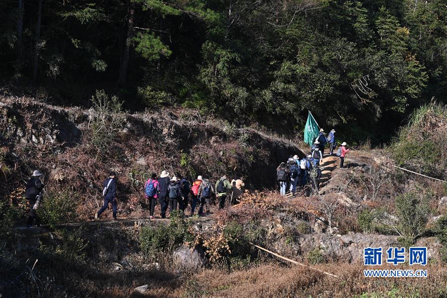 “关注森林 探秘武夷”主题生态科考活动在福建举行