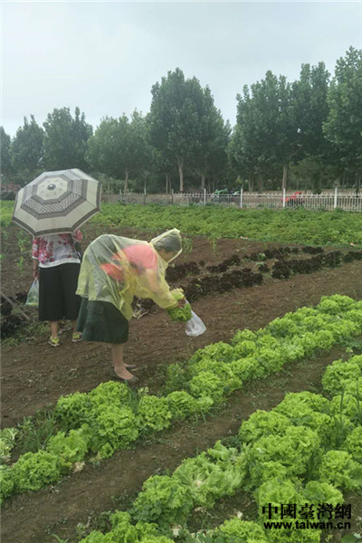 在京台胞齐聚共迎端午佳节