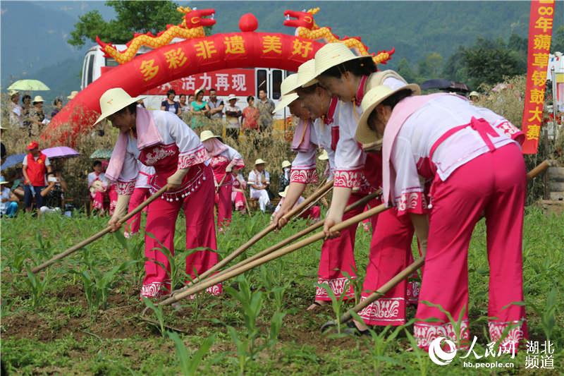 湖北秭归举办薅草锣鼓大赛