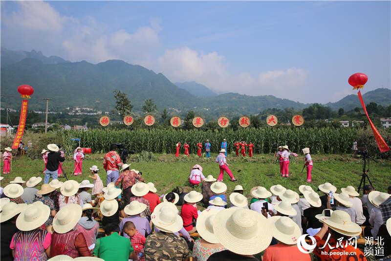 湖北秭归举办薅草锣鼓大赛