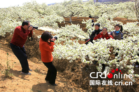 【未通过】【旅游资讯-图片】【河南在线-文字列表】【移动端-文字列表】河南省西峡县：乡村旅游助力脱贫攻坚