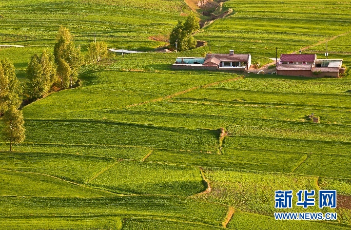 甘肃：夏日祁连山乡村美景如画