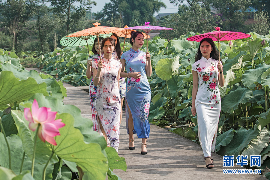 重庆：仲夏时节 到永川赏荷采莲