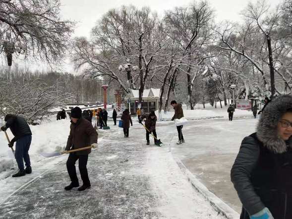 【黑龙江】【供稿】以雪为令 哈尔滨市平房区清雪大军连夜奋战清冰雪