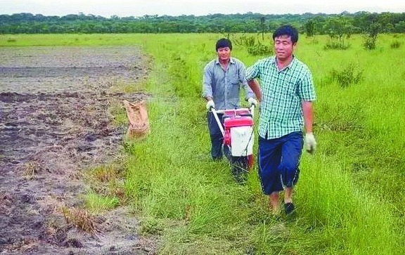 北大荒人陈山到非洲种出“高产田”