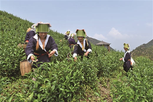 深山土瑶脱贫路