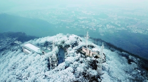 （焦点图）江苏紫金山宝华山南山竹海相约"白头"