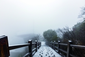 （焦点图）江苏紫金山宝华山南山竹海相约"白头"