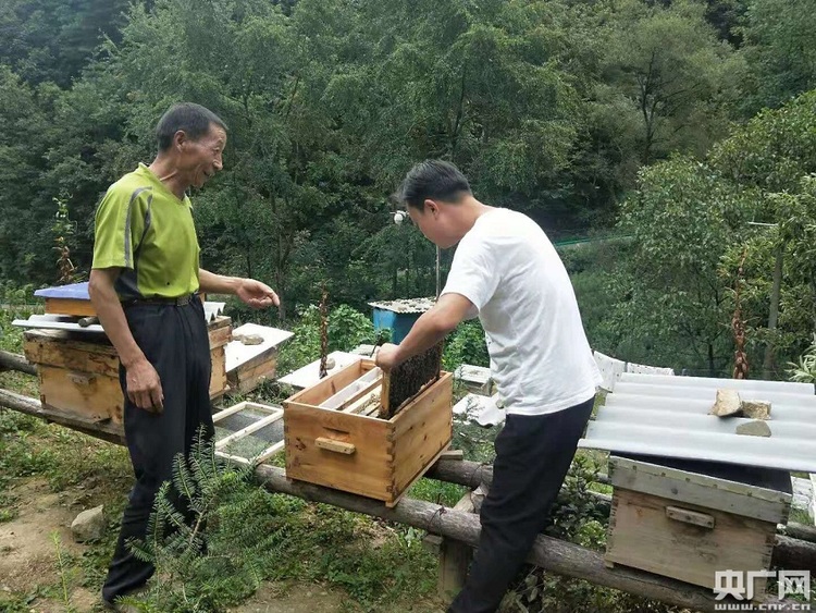 西安航空基地第一驻村书记成酉锋：全力帮扶大山深处的 乡亲们脱贫致富