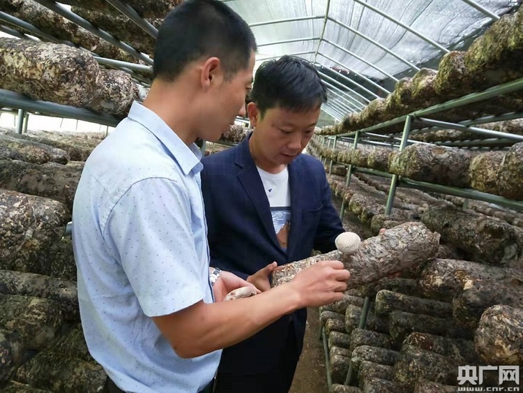 西安航空基地第一驻村书记成酉锋：全力帮扶大山深处的 乡亲们脱贫致富