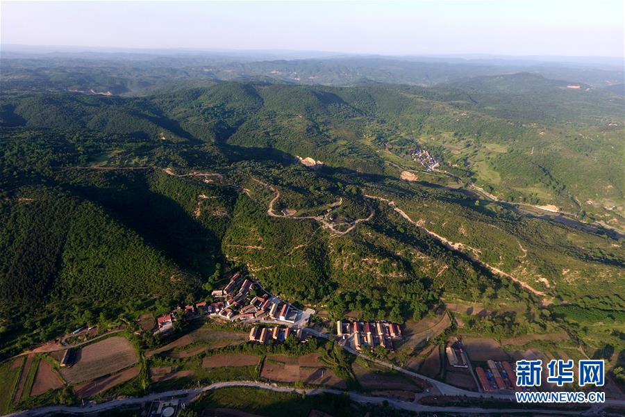 太岳山上的“天然氧吧”