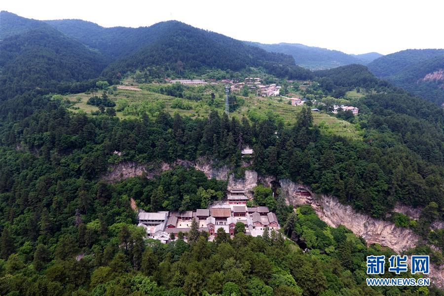 太岳山上的“天然氧吧”