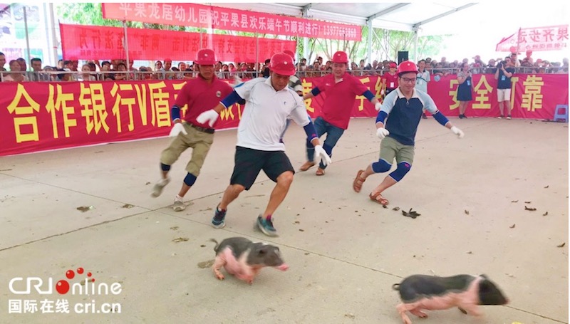 （加急）嘹歌唱响右江边 鸡猪混抓乐翻天 广西平果端午系列活动趣味纷呈