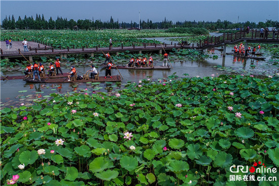 (供稿 旅游列表 三吴大地南京 移动版）第十届高淳固城湖水慢城荷花旅游节开幕