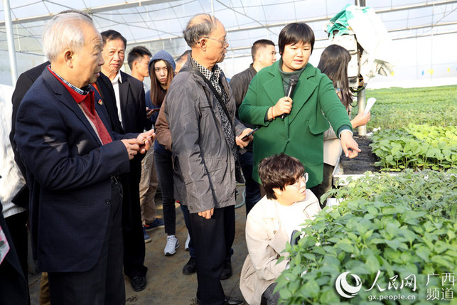 广东清远市关工委考察团到平桂区参观考察学习