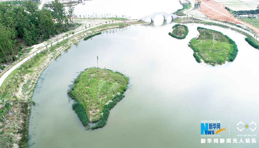 福建湄洲岛“治水”展露生态美景