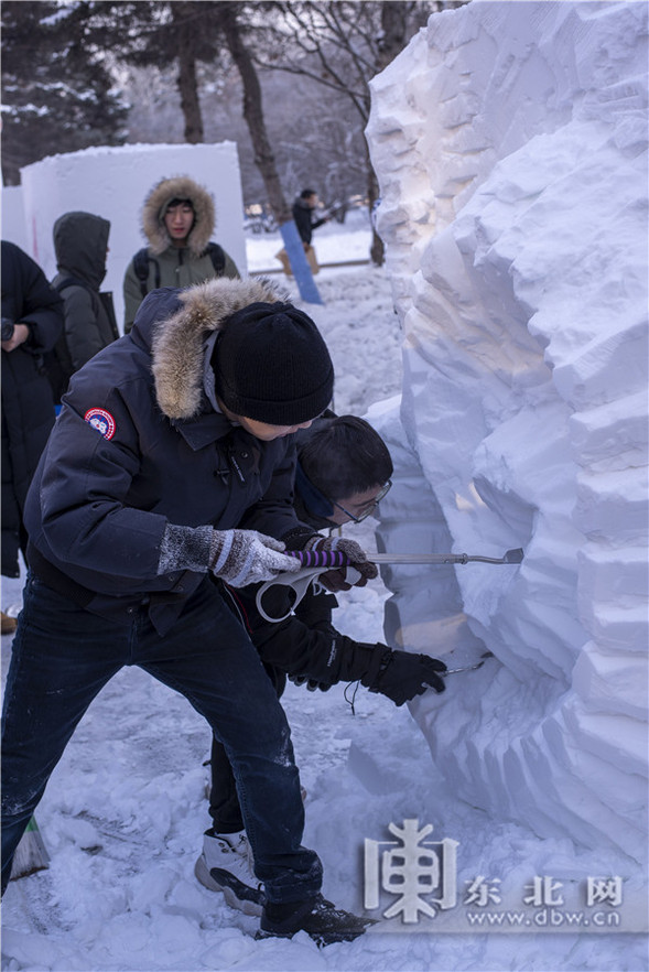 哈工程校园雪雕大赛开铲 30分钟速雕引围观