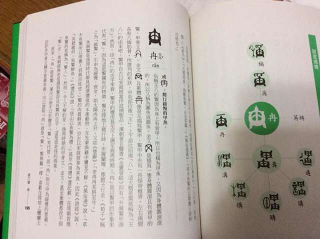 蔡"自自冉冉"有新解 蔡正元讽"自己叫自己王八"