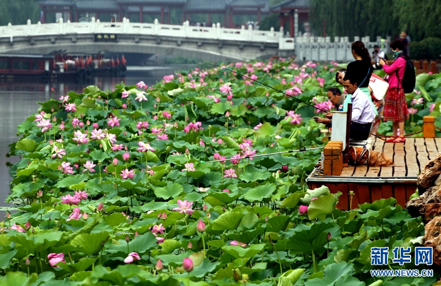 许昌：泛舟湖面赏荷花