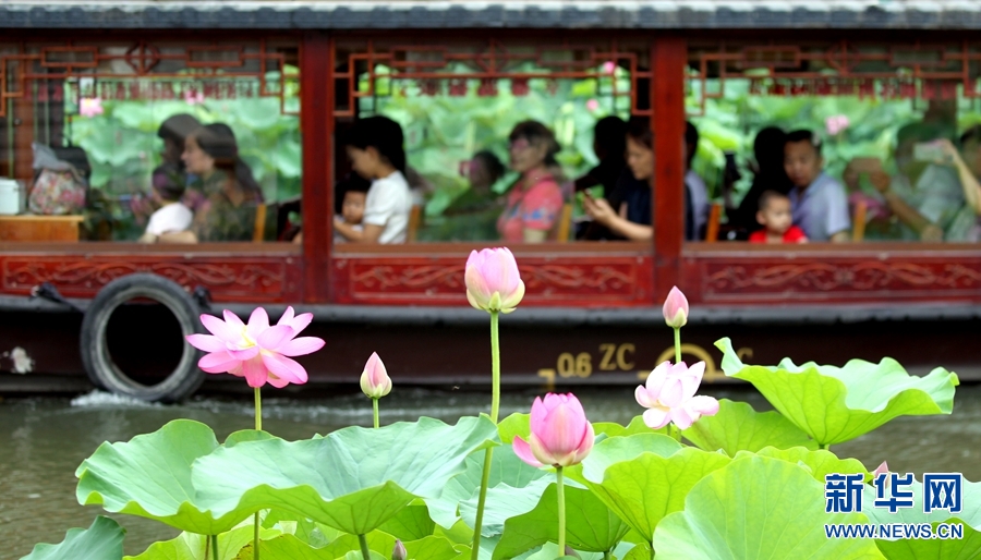 许昌：泛舟湖面赏荷花