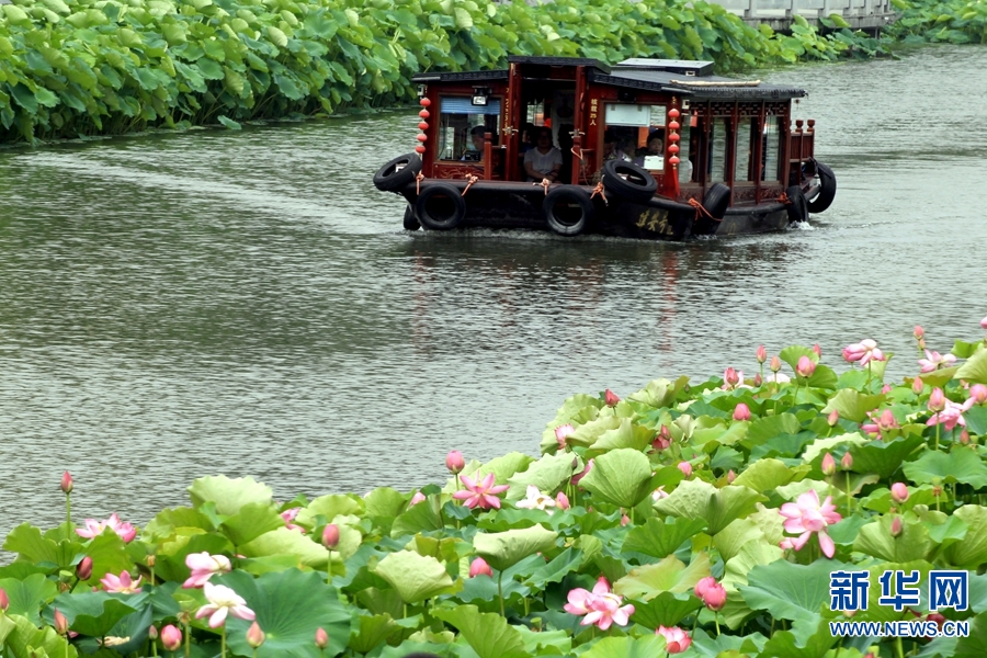 许昌：泛舟湖面赏荷花