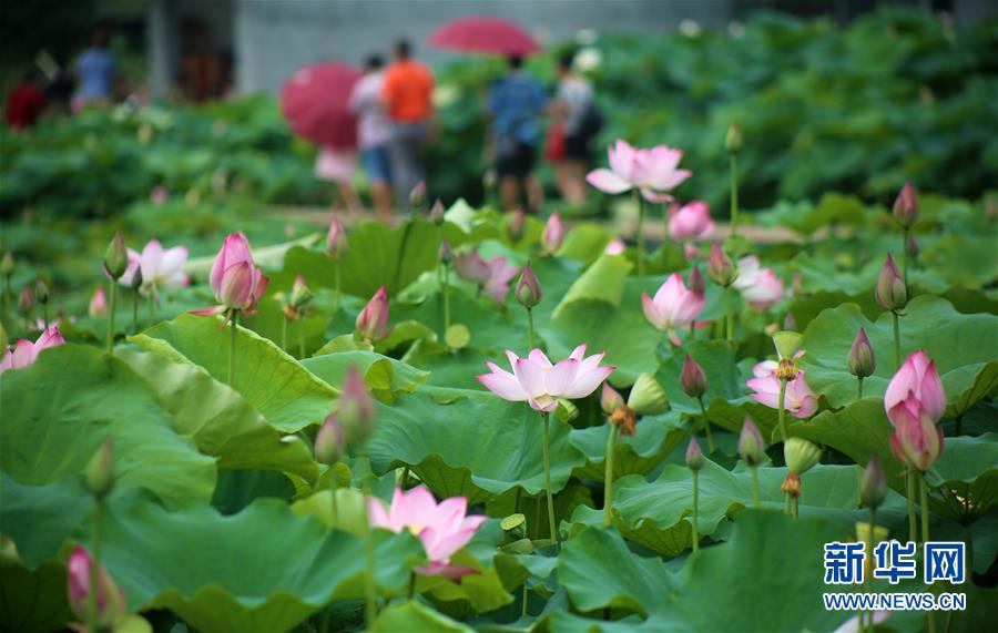 广西：精彩纷呈乐假期