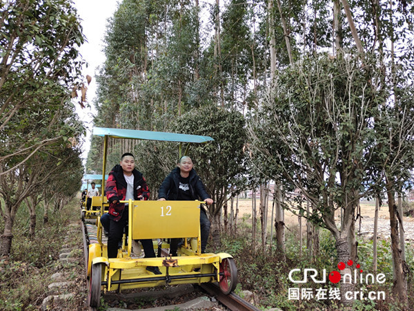 广西合山市打造工业研学旅游目的地 推动产业转型