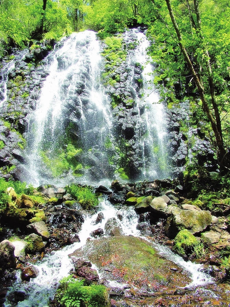 6月22日“长白山之夏”文化旅游节启幕