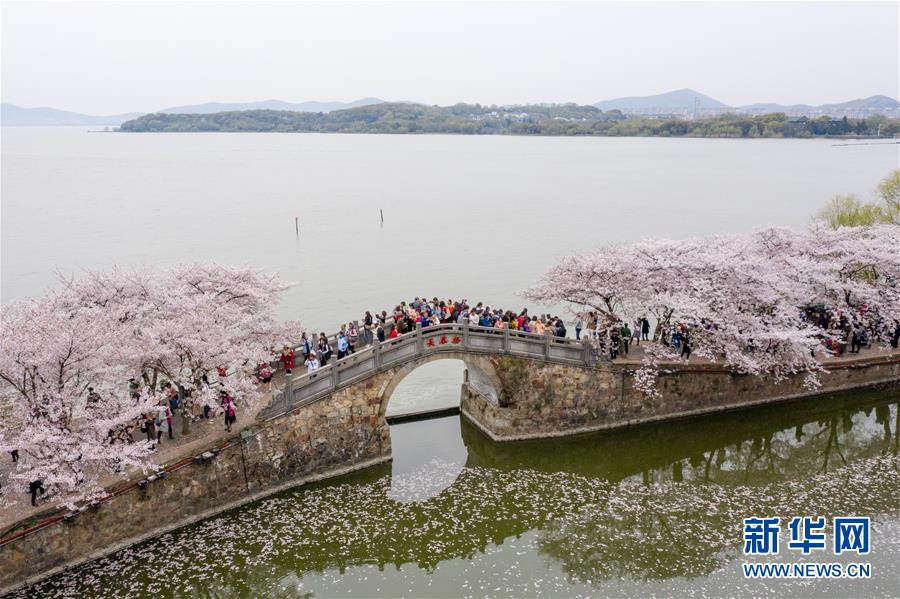 大湖见证——长三角三大淡水湖绿色发展之路