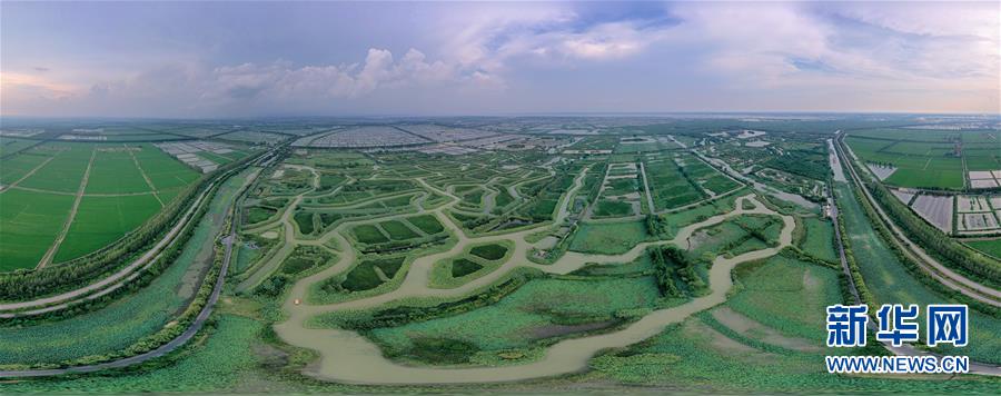 大湖见证——长三角三大淡水湖绿色发展之路