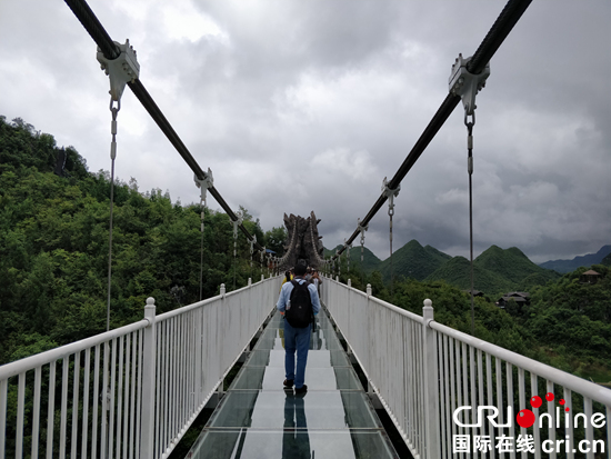 贵州百里杜鹃添新景  延长半年赏花期