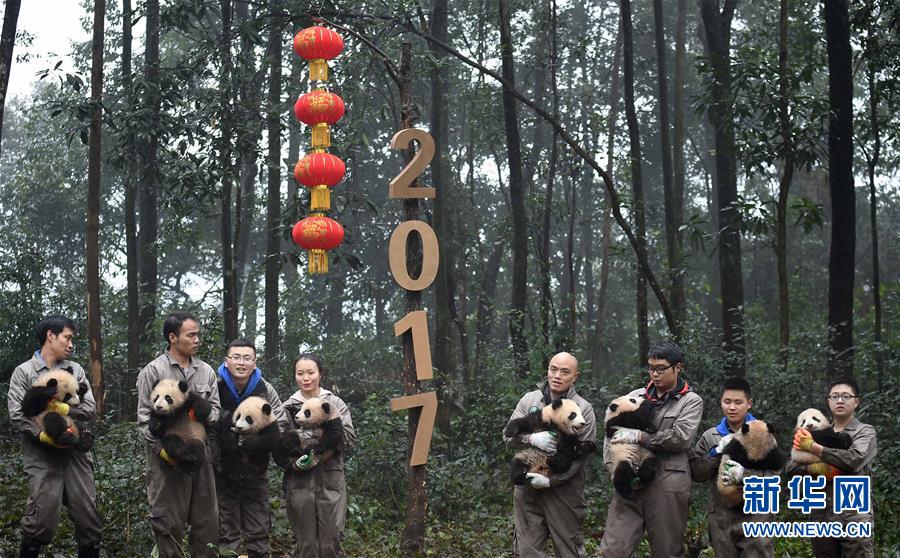 图片默认标题