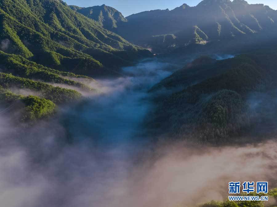 航拍神农架红坪画廊 晨雾弥漫满目清凉