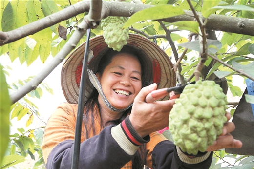 决胜脱贫奔小康