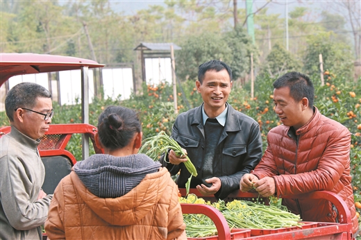 决胜脱贫奔小康