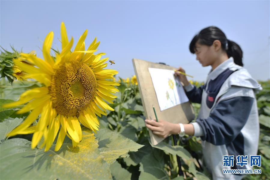 河北南宫：农旅融合助推乡村振兴