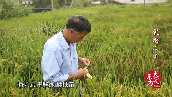 图片默认标题