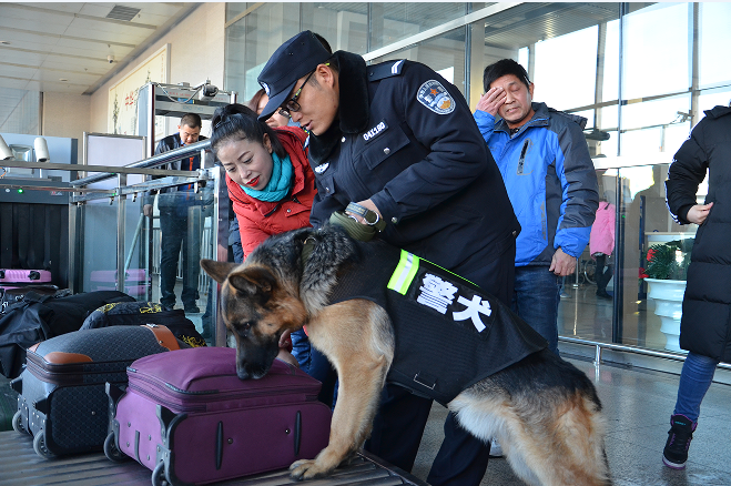 警犬出动 铁警备战春运