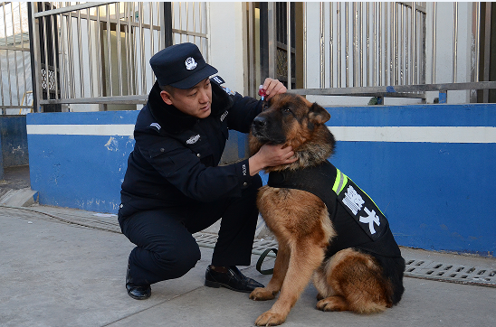 警犬出动 铁警备战春运