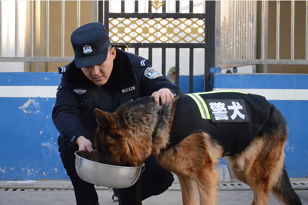 警犬出动 铁警备战春运