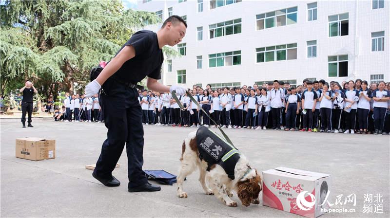 湖北房县：“6·26”禁毒宣传活动丰富多彩