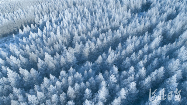 尚义：雪色浪漫大青山