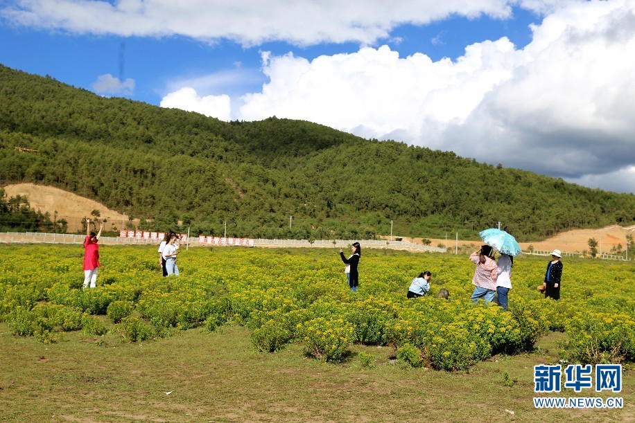 云南迪庆：依托“世界的香格里拉”品牌 大力发展乡村旅游