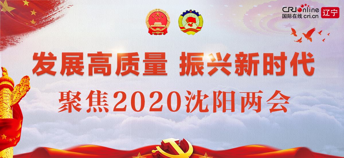 聚焦2020沈阳两会_fororder_Banner1200x550