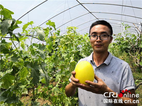 急稿【CRI专稿 图文】重庆渝北首届番茄文化节将于7月7日开幕【内容页标题】重庆渝北首届番茄文化节7月7日开幕 20项活动邀游客玩个够