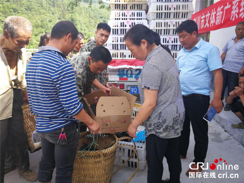 湖北太坪龙：1300只鸡苗“飞”进贫困户家