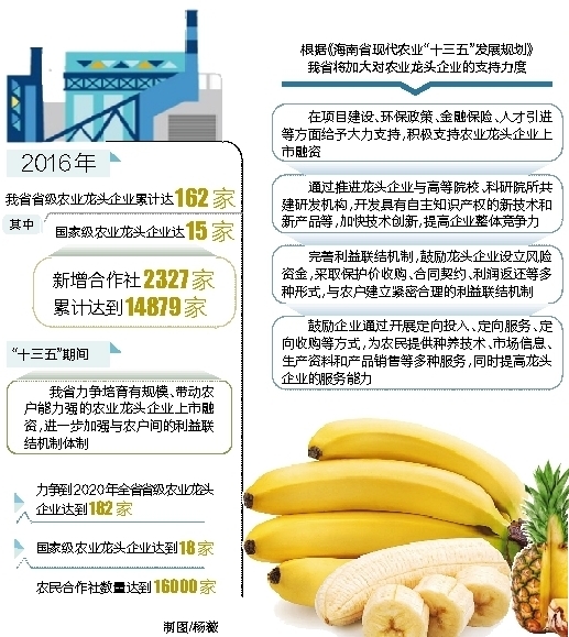 文章末尾有图【财经】【即时快讯】2016年海南省省级农业龙头企业达162家