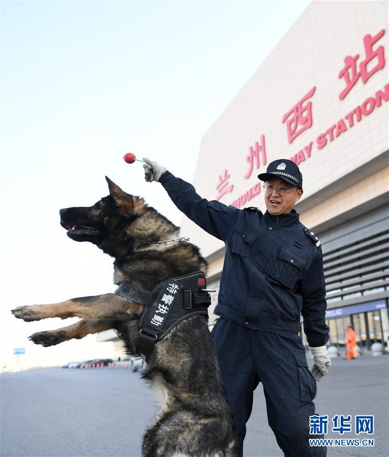 警犬“璐璐”春运执勤忙